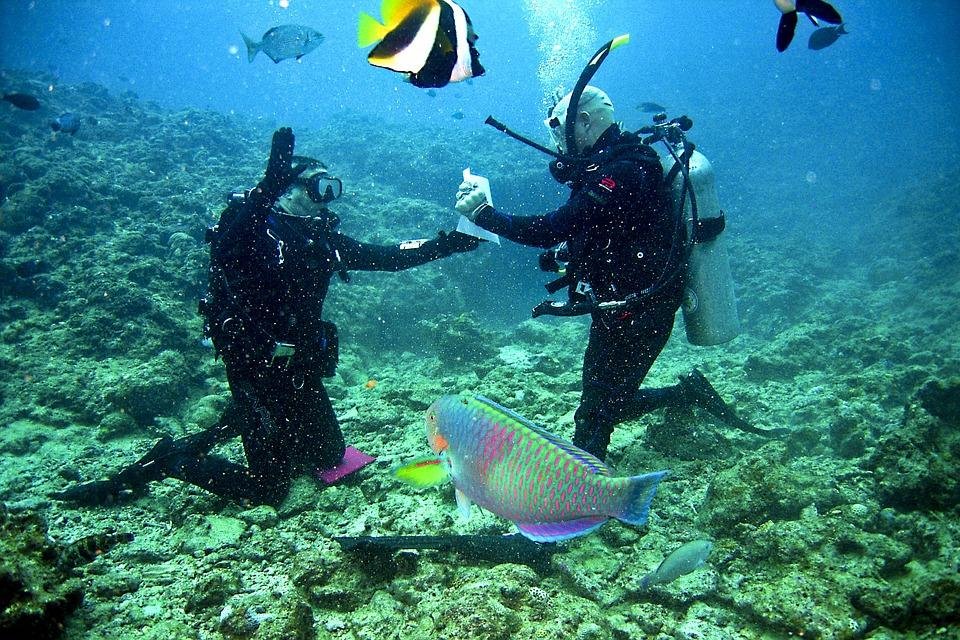 Divers Aruba 