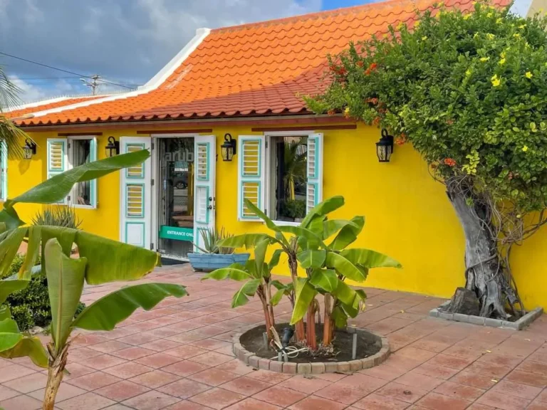 Aruba Experience 8 1024x768 1 768x576