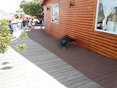 unnamed 2025 10 04T202205.514