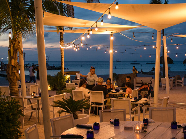 HAD TERRACE 800x600 1 768x576