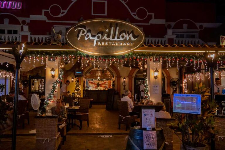 Papillon Main Pic result 768x512