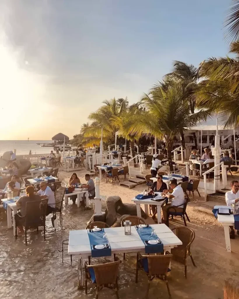 b2489a0f f6a0 4e2a a1c0 bfac1b4a2f1c 819x1024