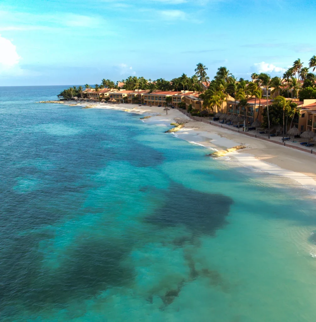 imgi 29 22060227 ImageLargeWidth 1005x1024