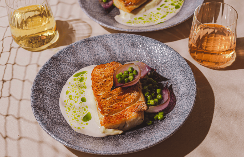 imgi 8 red snapper 1024x661