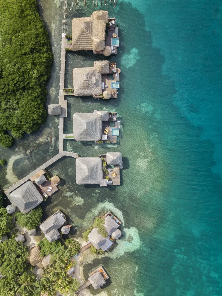 DJI 0318 Edit 768x1024