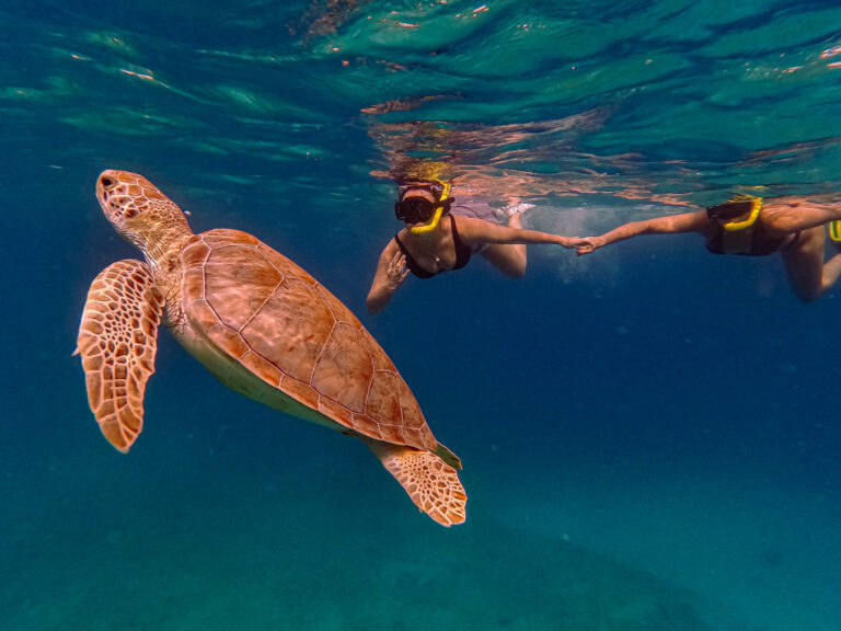 d41939 90763e98844e496296b8ea904a087434mv2 768x576