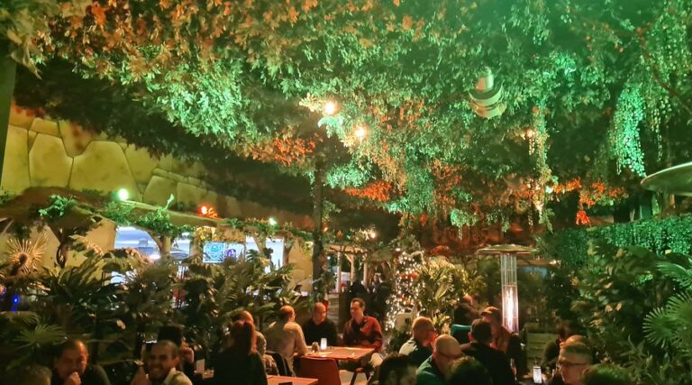 sfeer in de jungle 768x427