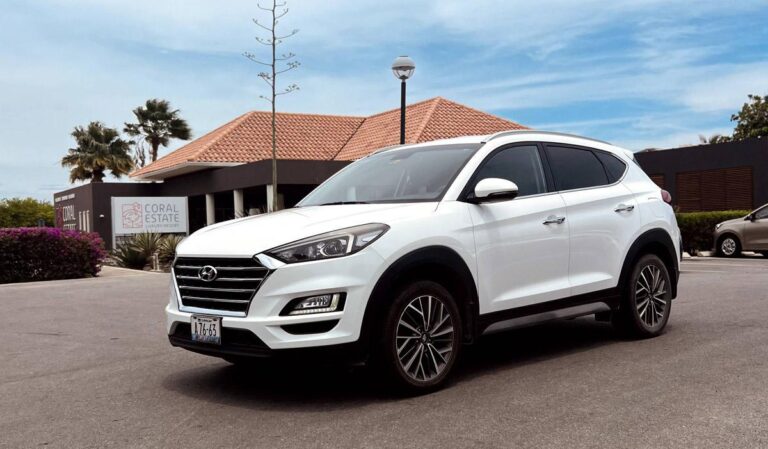 83211672 59612490 768x449