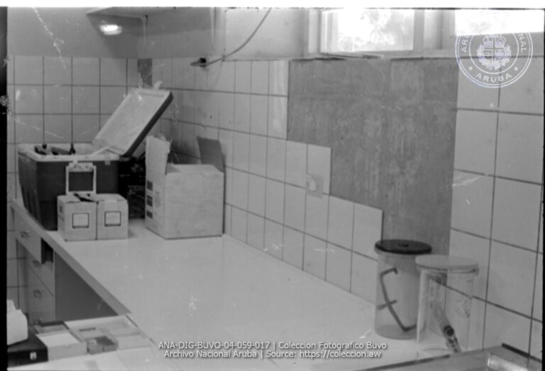 ANA DIG BUVO 04 059 017 768x523