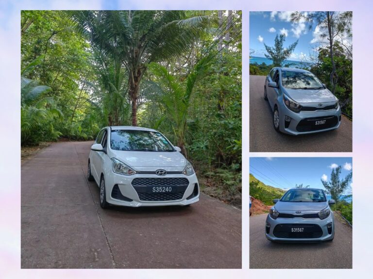 Car Fleet Hire 768x576