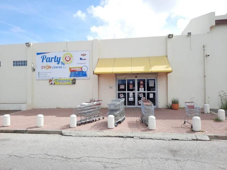 DyonCenter  2 768x576