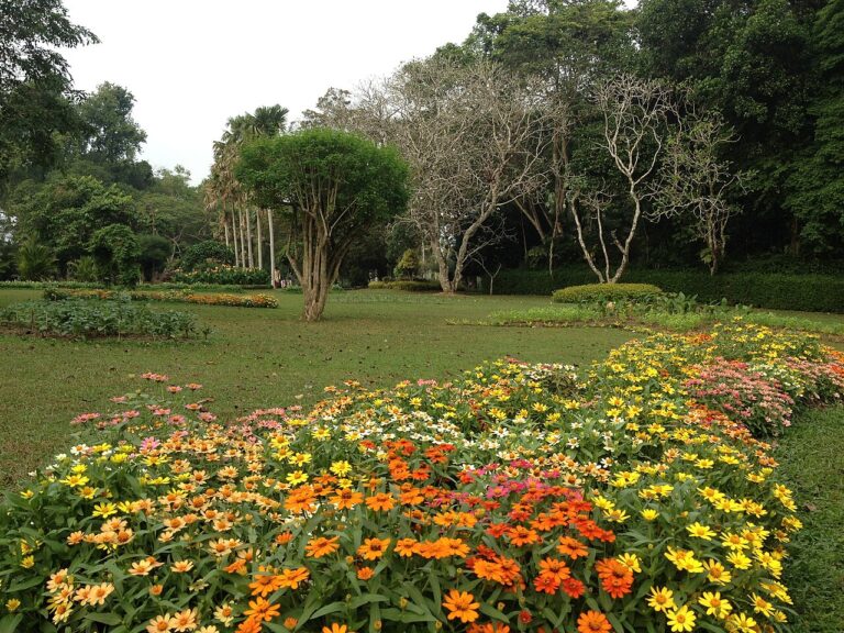 Henarathgoda Botanical Garden 768x576