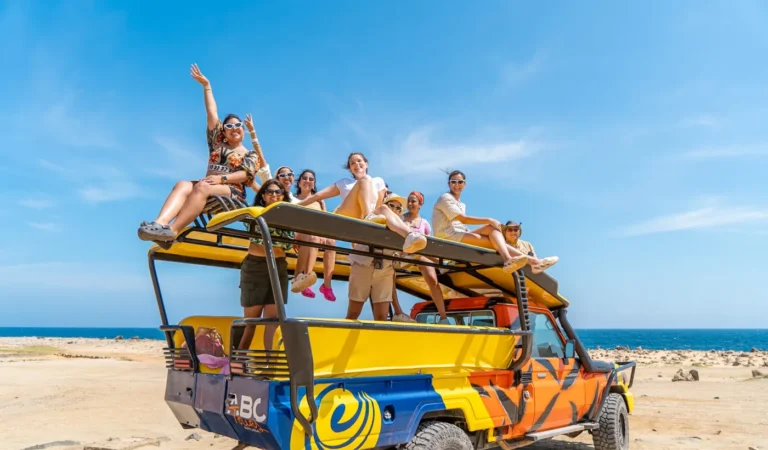 IMG 0810 466bea e1732038385814 768x450