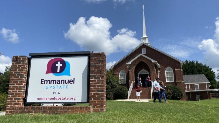 IMG 4851 1 scaled 1 768x432