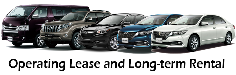 Tex Cars Rental & Leasing VBA Featured image