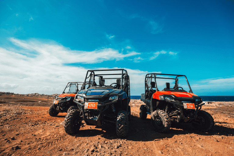 RealDeal Car Rental 768x512