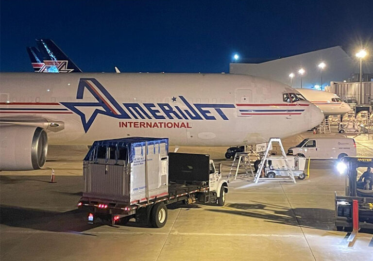 amerijet announces first class equine air travel 1702445863 768x538