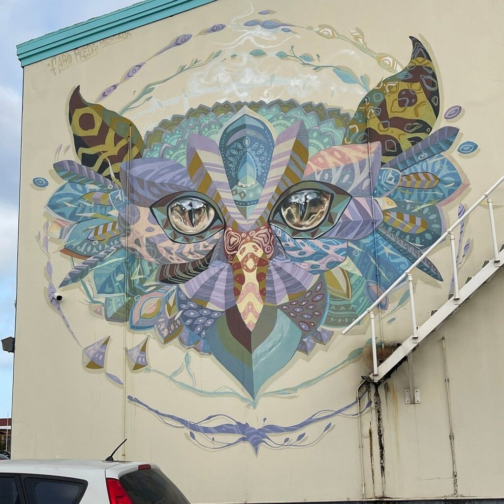 caption 24 1024x1024