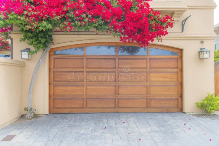 garage bougainvillea plant carlsbad san diego california garage bougainvillea plant carlsbad san diego california 240832799 768x513