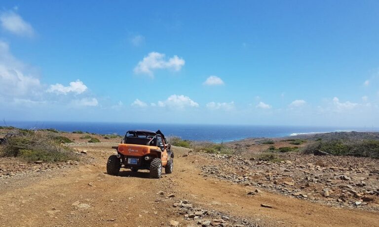 img 20180214 wa0050 largejpg 768x461