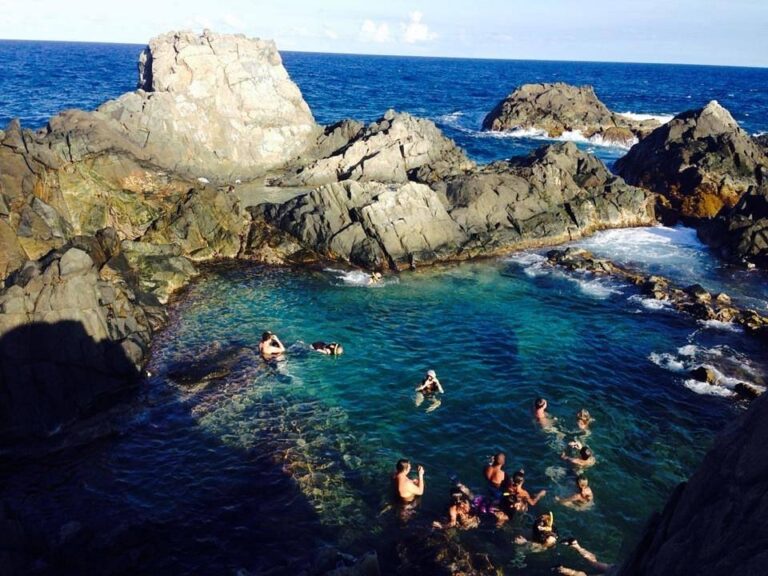 natural pool 768x576