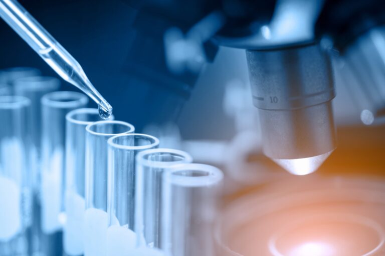 shutterstock 531253354 scaled 1 768x512