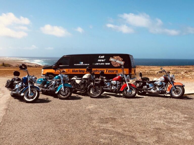 thumb 57 0 780 0 0 auto 768x576