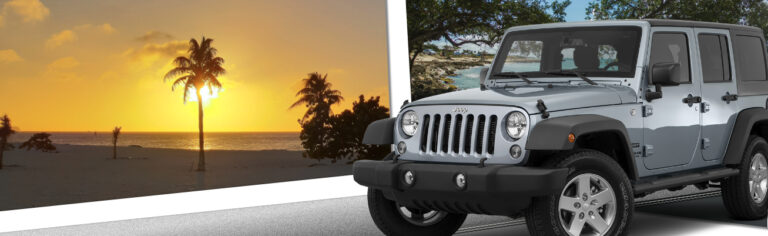 wrangler banner 768x236