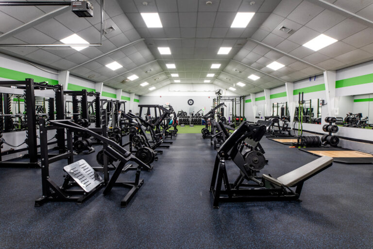 0b50a5 eb7be805227e46efa2a32d9ea2a76dffmv2 1 768x512