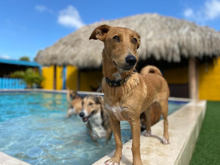 1dcae42e 0536 4585 9f4f f5f8283bbf64 768x576