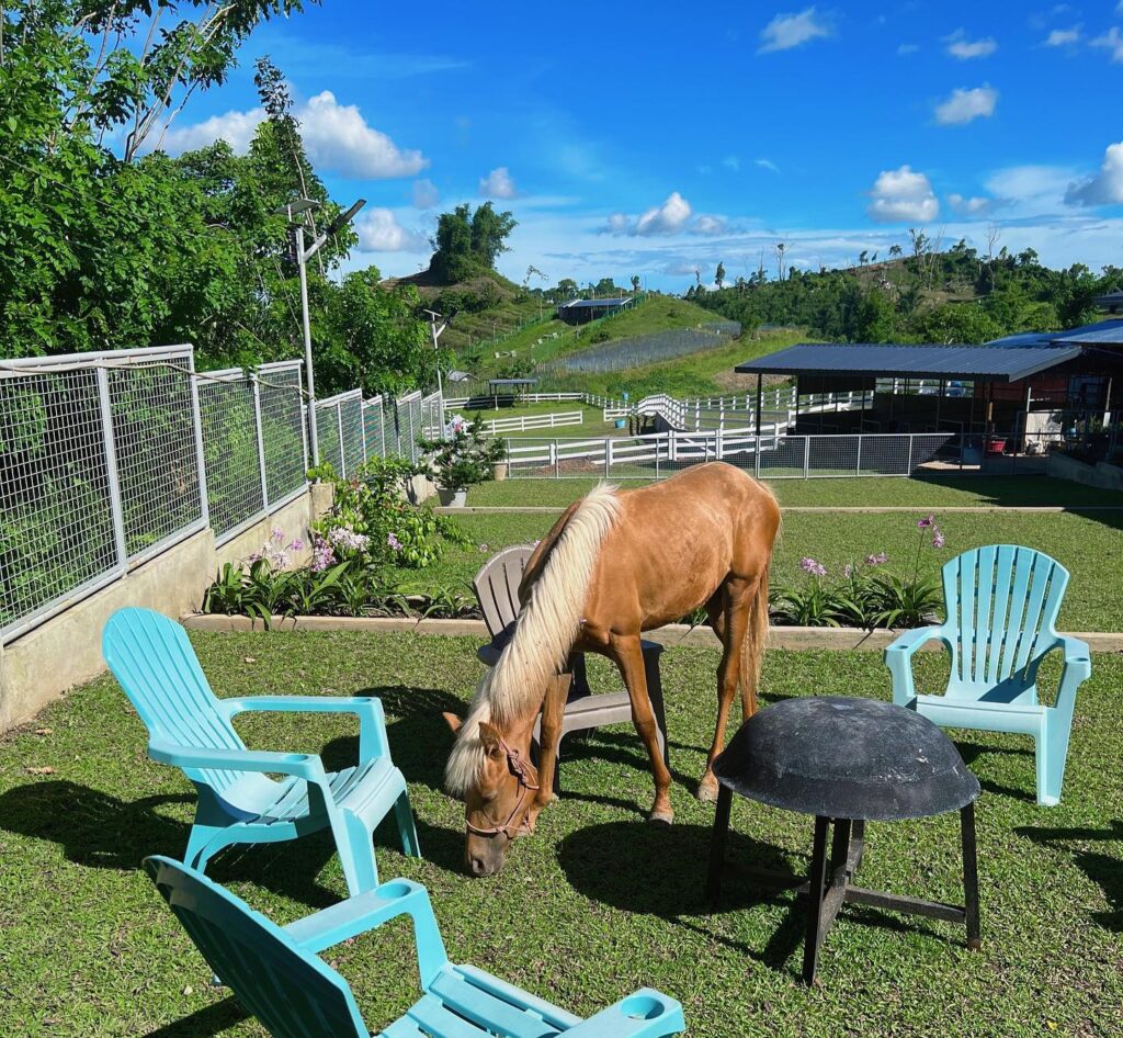 363387465 773247611474336 9109627930068242213 n 1024x946