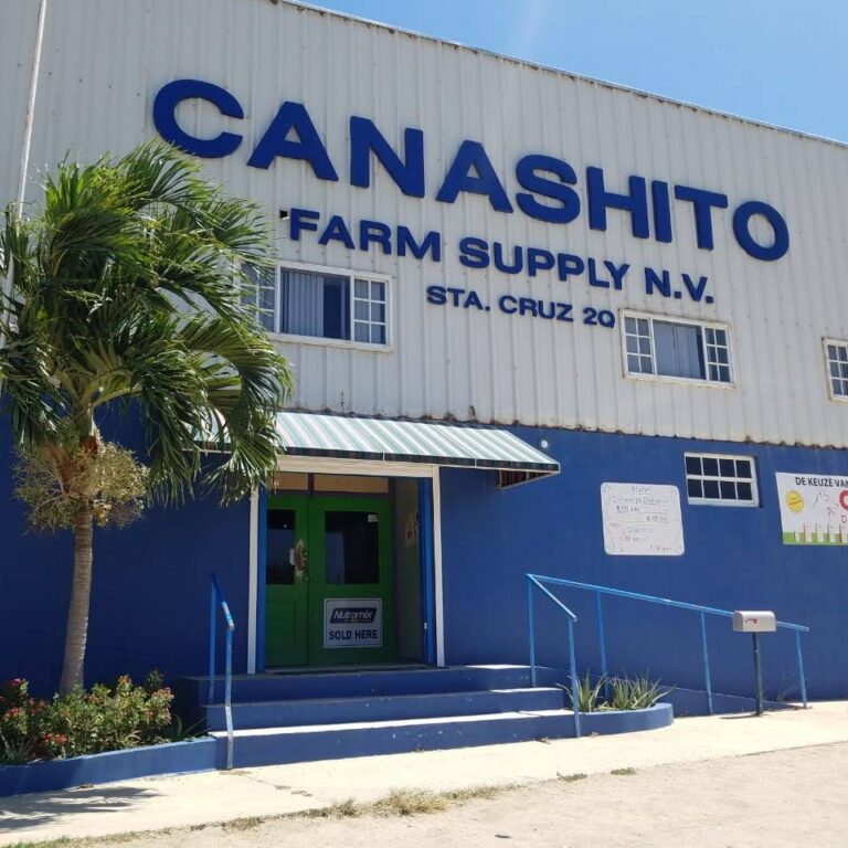 614fe8 2019 08 27 1 768x768