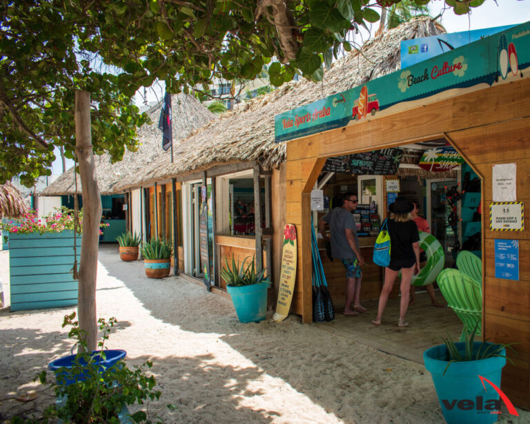 DSC 0366 1 1024x819 1 768x614