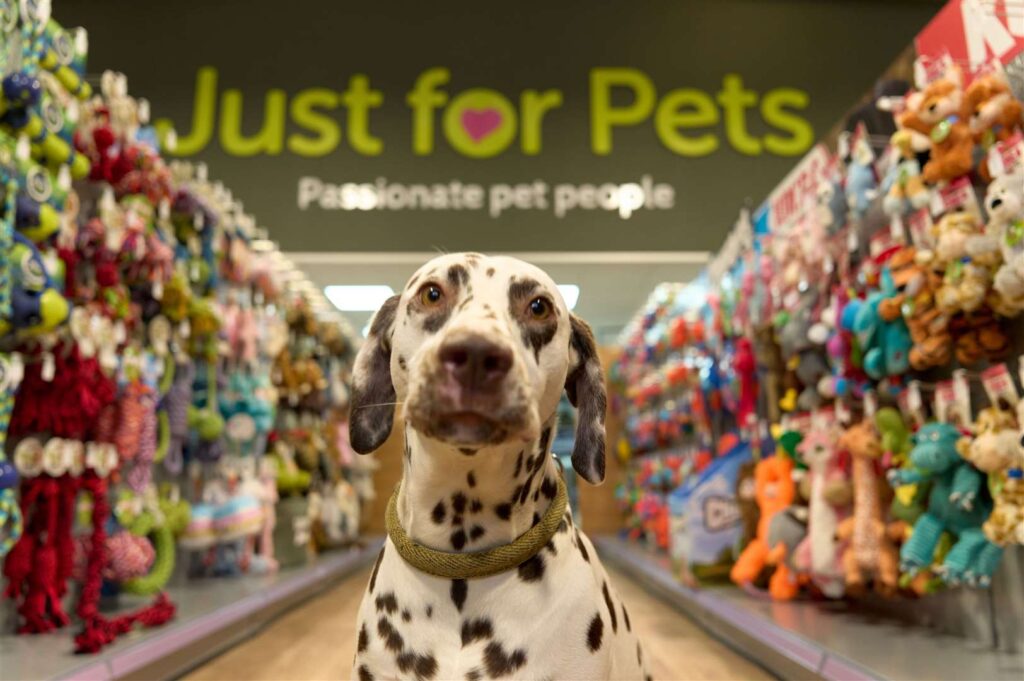 FTNTHL8I0K6FOFM2A9DP 1024x681