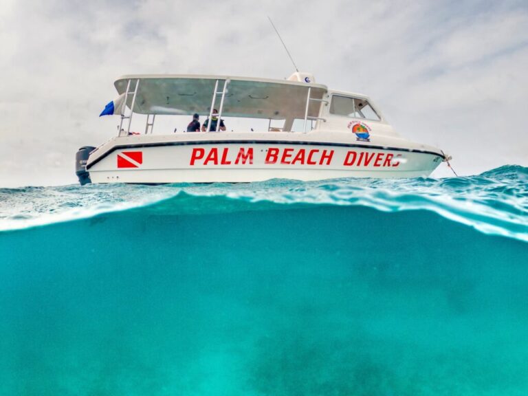 GOPR2273 kopie 2 1 1024x768 1 768x576