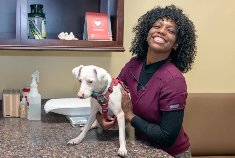 Oak Forest Veterinary Hospital 9 1024 768x518