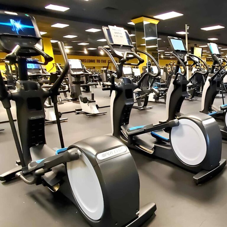 OwnAZoo04A 1024x1024 1 768x768