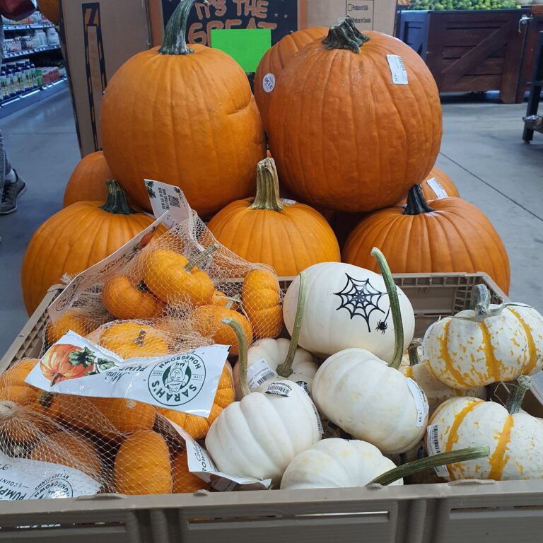 PR Do It Center Short Christmas Department Opening 2 768x768