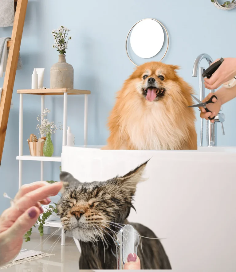 Pet grooming header image mobile 768x886
