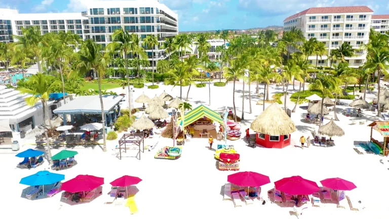 Screen Shot 2020 02 28 at 3.12.20 PM 768x432