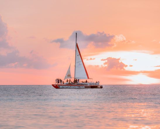 Octopus Aruba Sailing, Snorkeling, Sunset & Private Tours Featured image