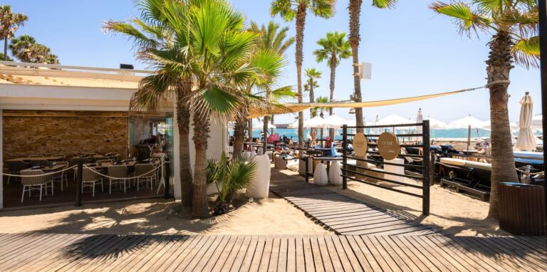 aib gallery 6 1 1 768x382