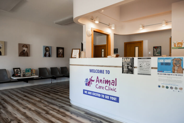 animal care clinic lobby 768x512
