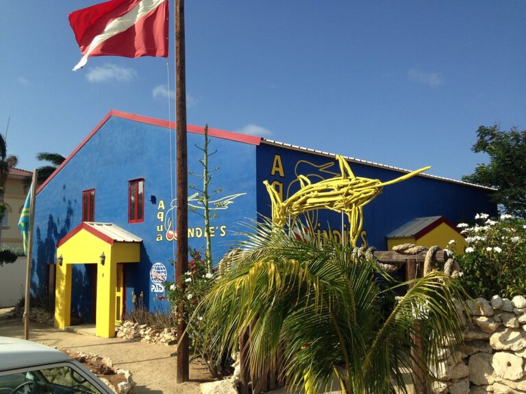 aqua windies 1 1 768x576