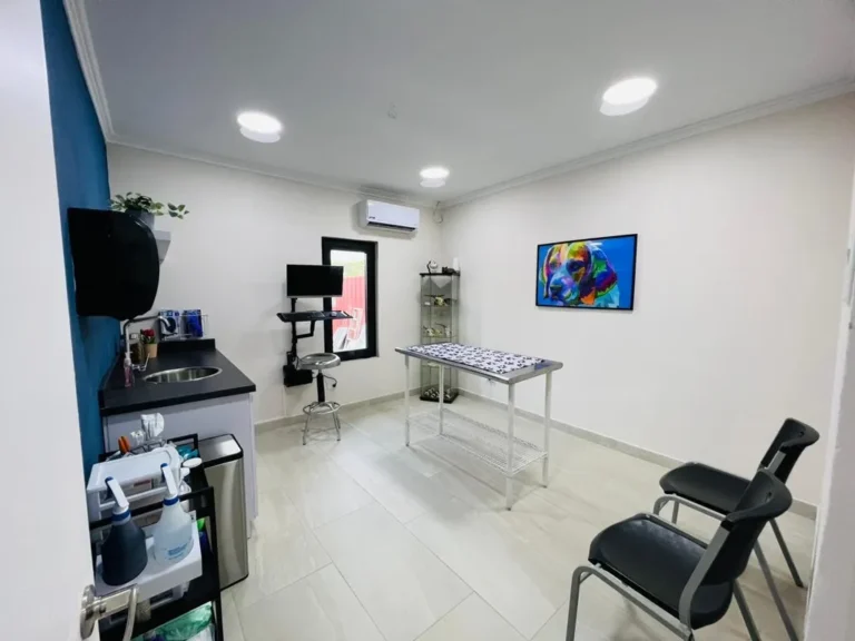 b92a35a7 d088 436a b598 38f6bd71f73f 1 105 c 768x576