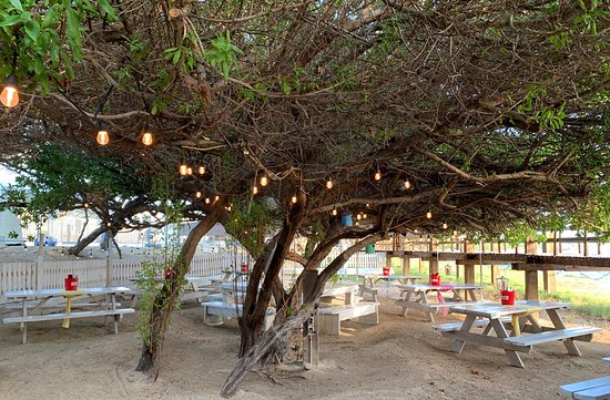 The Backyard Aruba Featured image