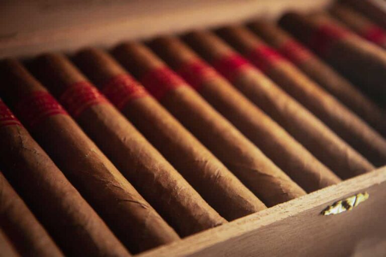 best cigars 768x512