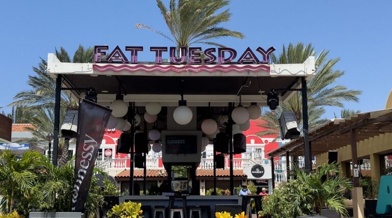 fat tuesday view from 1 768x427