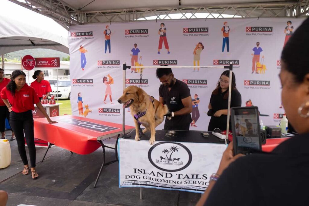 galleryimg43 1024x684