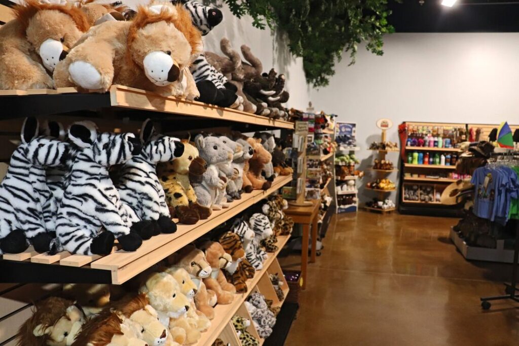 img 4252 resized orig 1024x682